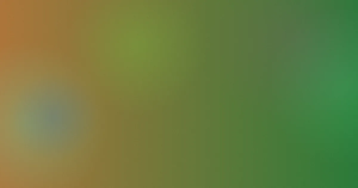 东北少女值得吗：入坑清单